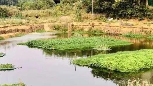 中工民生