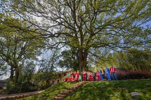 浙江擘畫詩路文化新藍圖 九市聯動，生態為基，打造中華文脈傳承創新帶